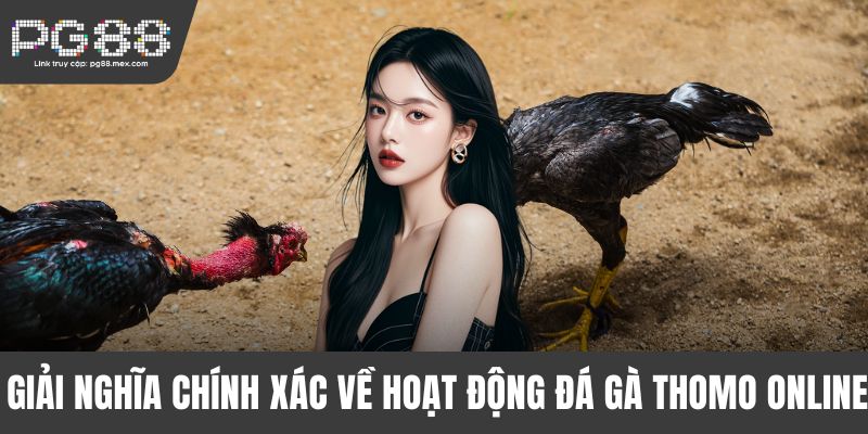 Giải nghĩa chính xác về hoạt động đá gà Thomo online