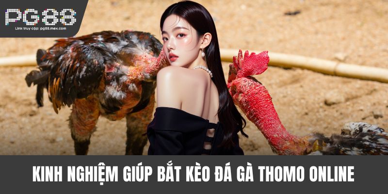 Kinh nghiệm giúp bắt kèo đá gà Thomo online thắng chắc